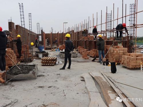 ͨķr(nng)°ՠI(yng)NF(tun)(du)M(hu)hcͨķa(chn)ʩM(jn)ճ