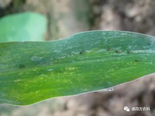 הQôkץoQӰ푮a(chn)!!!