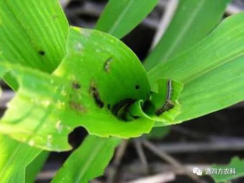 הQôkץoQӰ푮a(chn)!!!