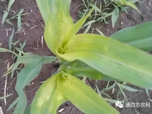 הQôkץoQӰ푮a(chn)!!!